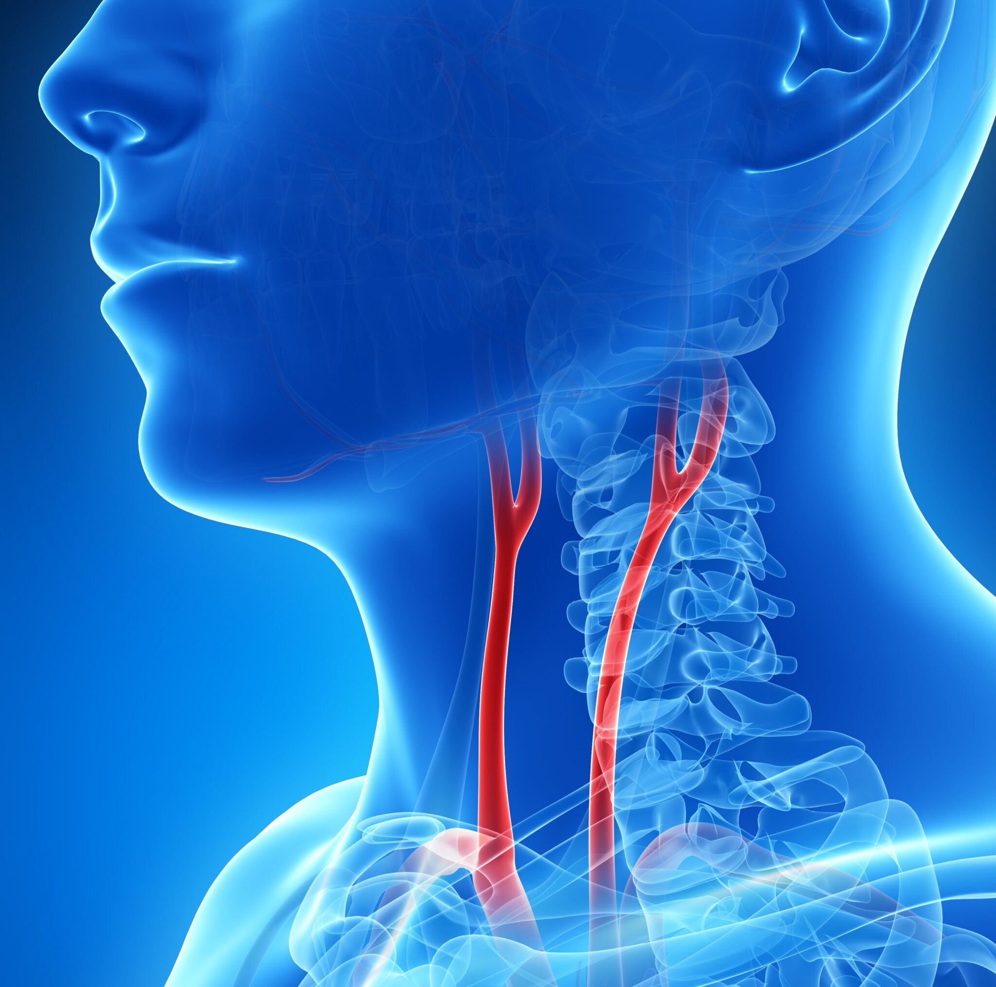 we-talk-health-ep-157-let-s-talk-about-carotid-artery-disease-west