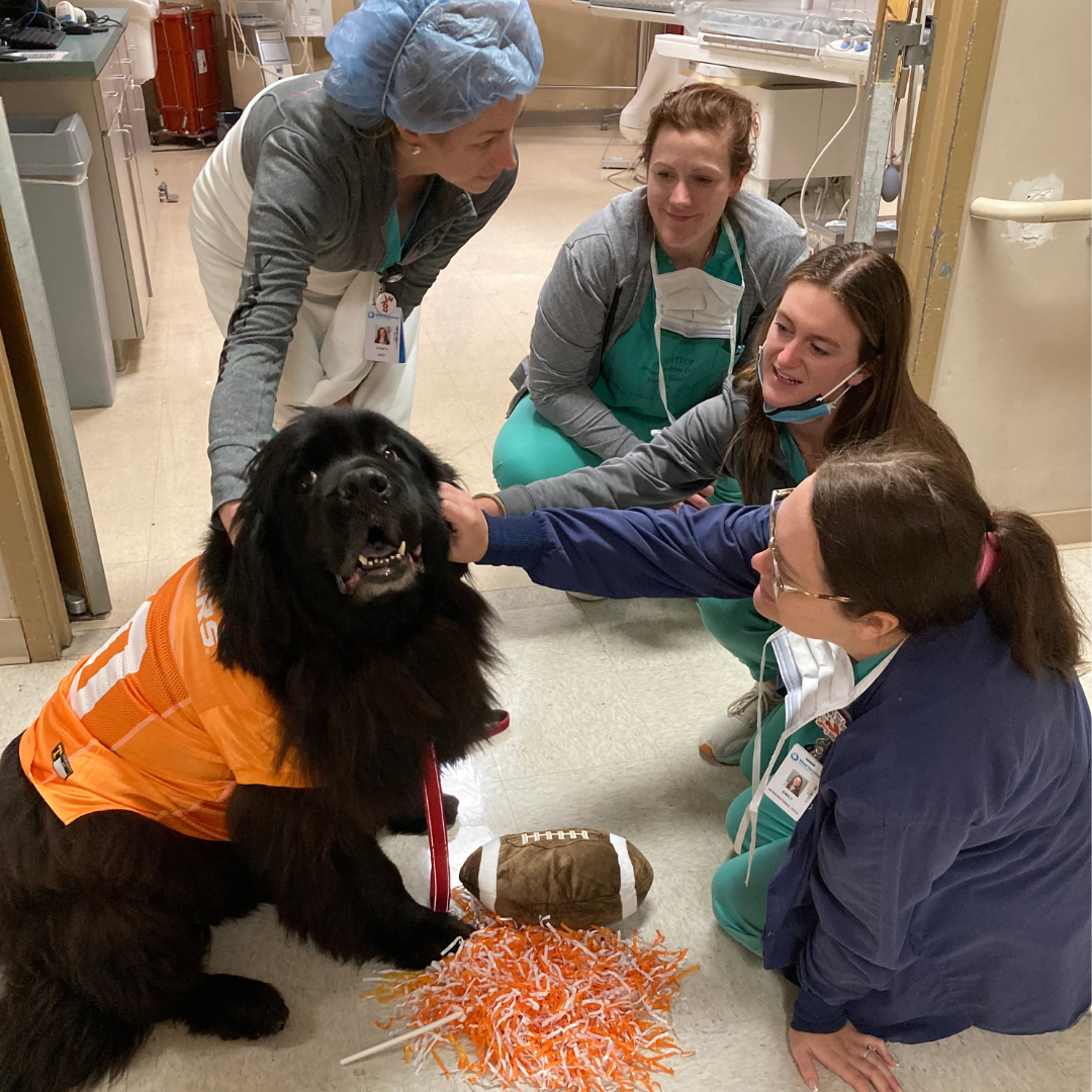 Dog therapy at West Tennessee Healthcare